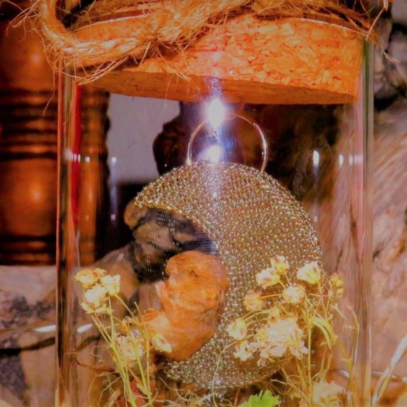 Hello! Welcome to my weird closet! - Picture 15 of 16